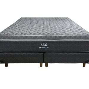 SS-30